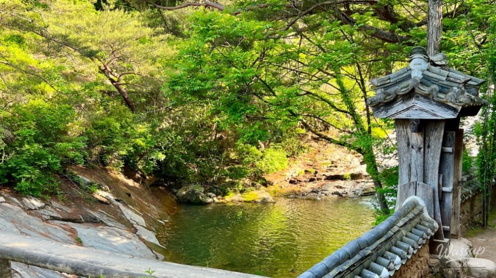 Discovering the Serenity of Manhyujeong in Andong_04