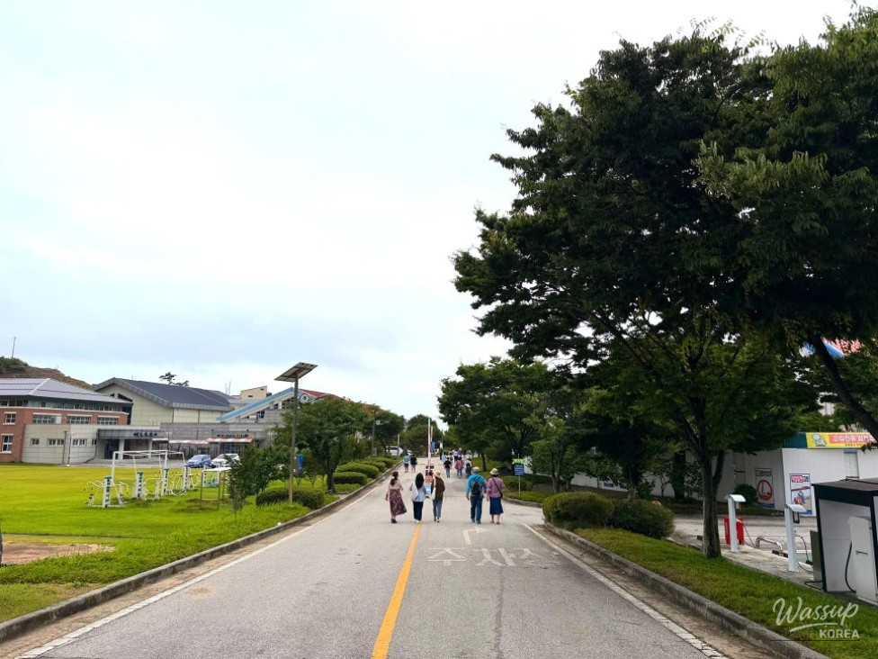 Discovering Sol Island: A Hidden Gem in Buan_03