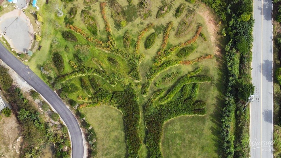 Explore the Serenity of San-i Garden in Haenam, South Korea_01