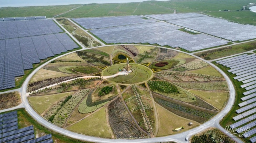 Explore the Serenity of San-i Garden in Haenam, South Korea_04