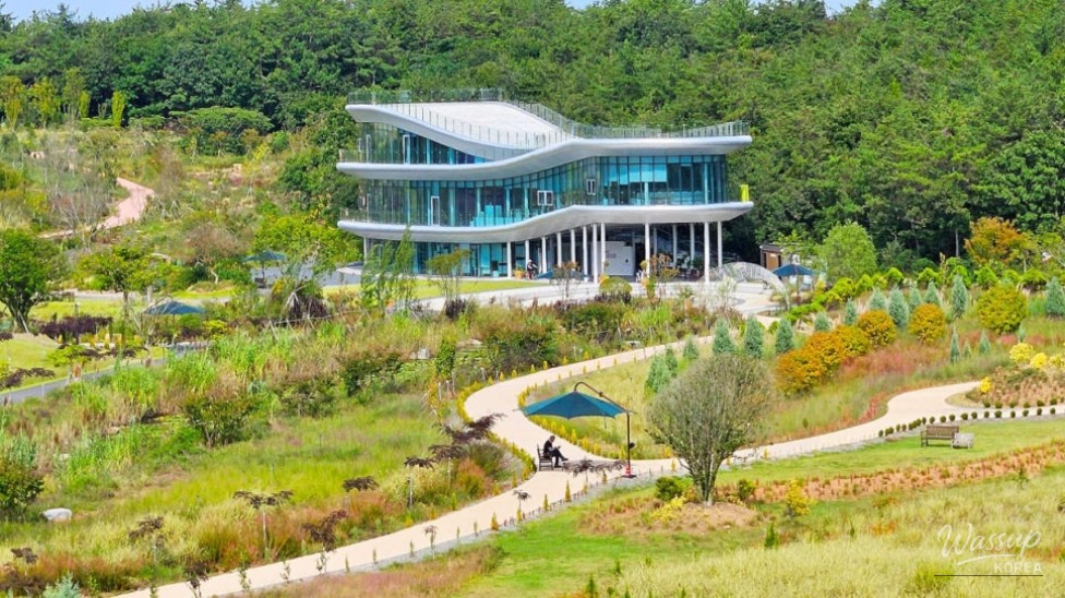 Explore the Serenity of San-i Garden in Haenam, South Korea_05