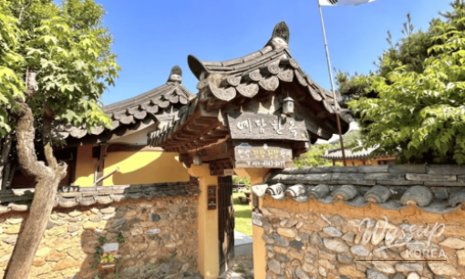 Explore the Serenity of San-i Garden in Haenam, South Korea_06