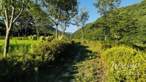 Exploring the Hidden Gems of Jusaeng-myeon, Geochang_04