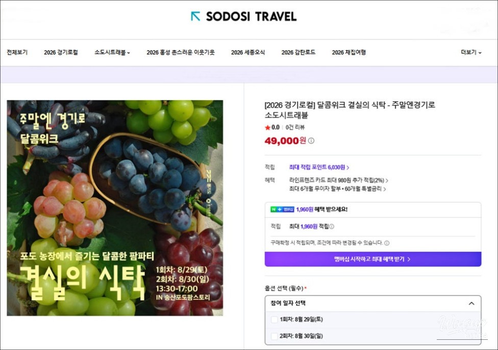 Discover Local Wonders: Weekend Trips in Gyeonggi Province_07