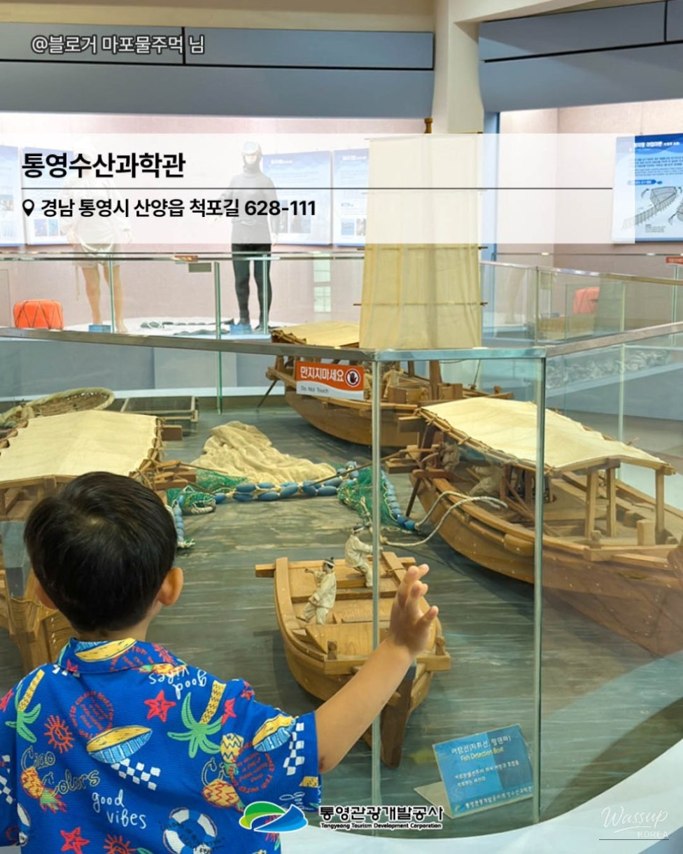 Explore Tongyeong: A Family Day at the Tongyeong Fisheries Science Museum_04