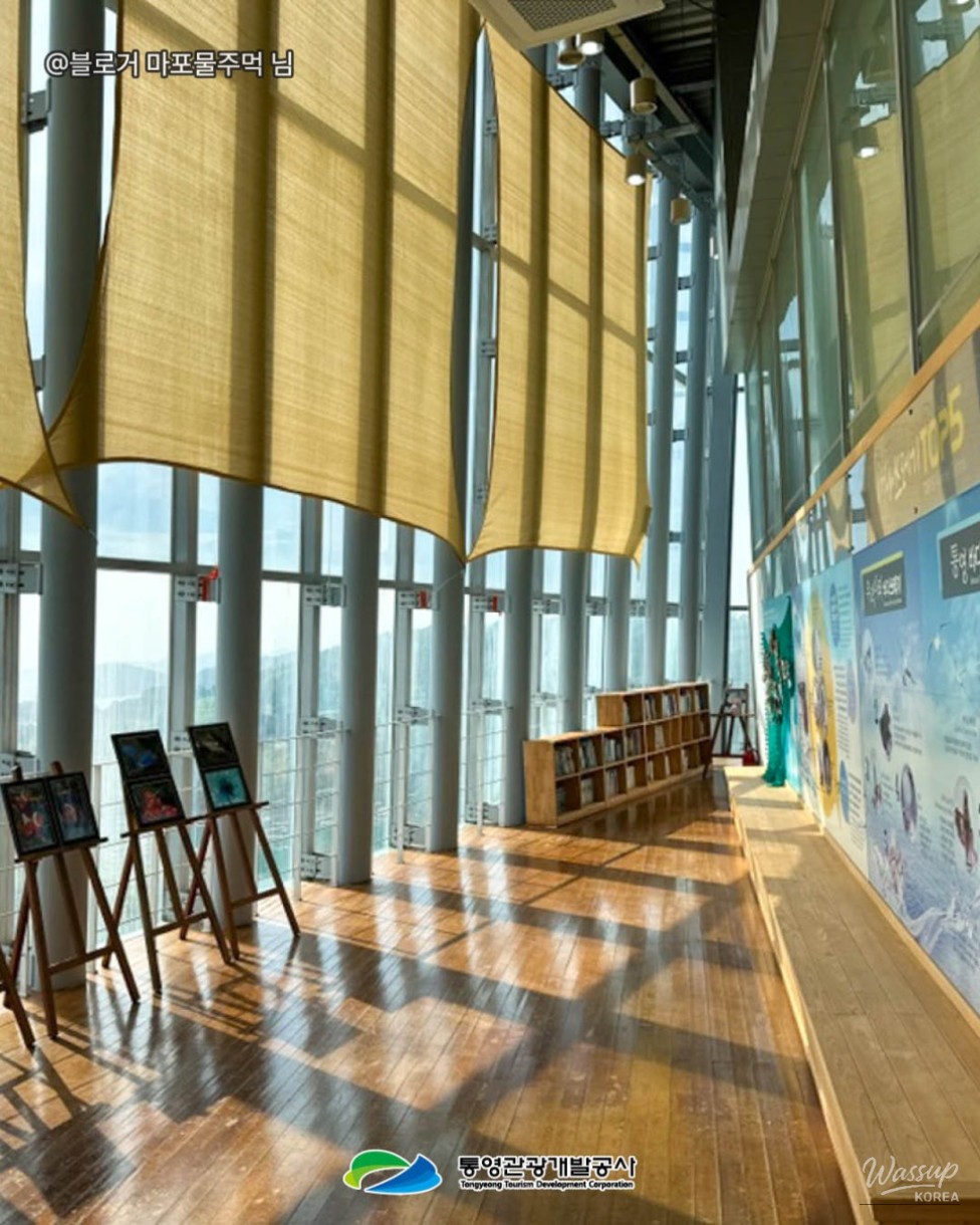 Explore Tongyeong: A Family Day at the Tongyeong Fisheries Science Museum_09