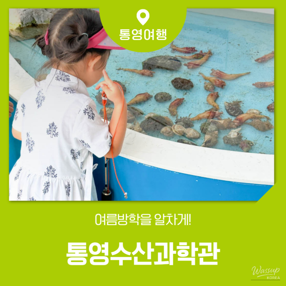 Explore Tongyeong: A Family Day at the Tongyeong Fisheries Science Museum_01