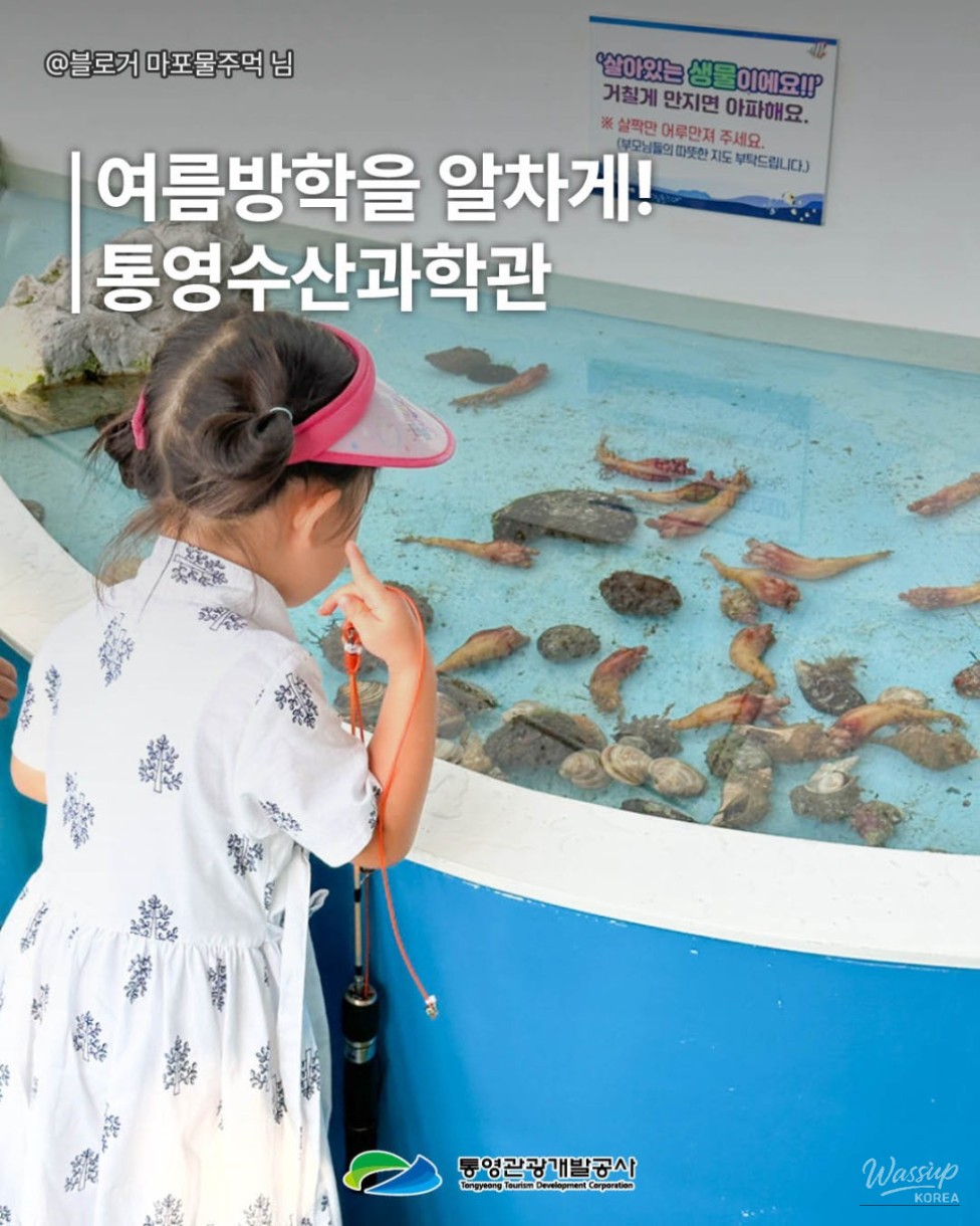 Explore Tongyeong: A Family Day at the Tongyeong Fisheries Science Museum_03