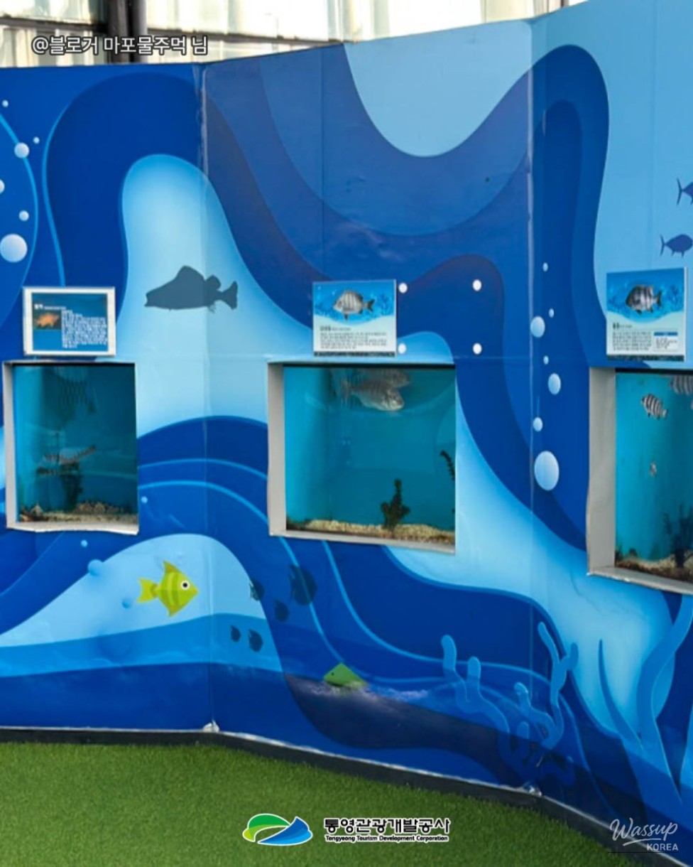 Explore Tongyeong: A Family Day at the Tongyeong Fisheries Science Museum_08