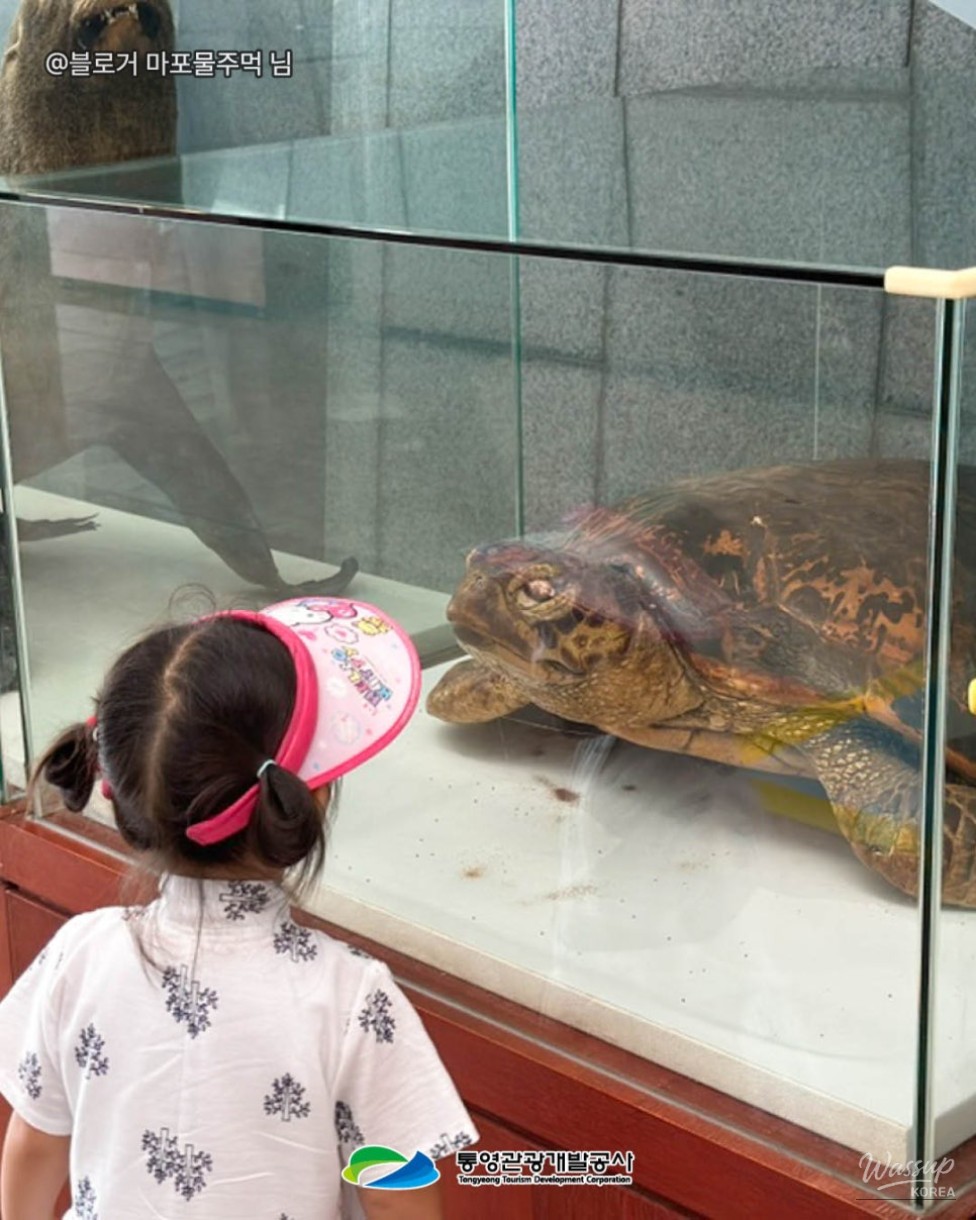 Explore Tongyeong: A Family Day at the Tongyeong Fisheries Science Museum_06