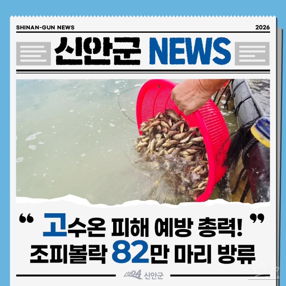 Shinan County Takes Action Against Rising Sea Temperatures_01