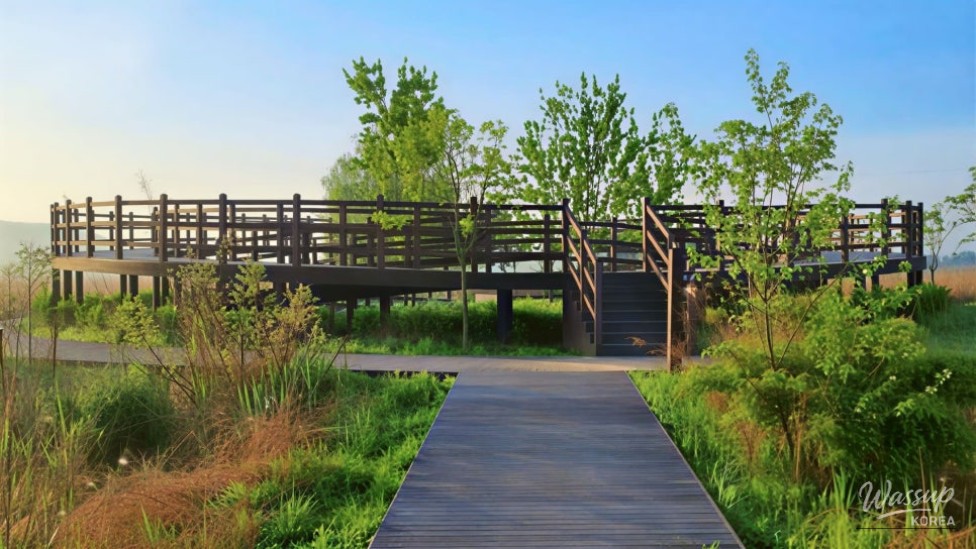 Explore the Incheon Sora Wetland Ecological Park: A Hidden Gem_01