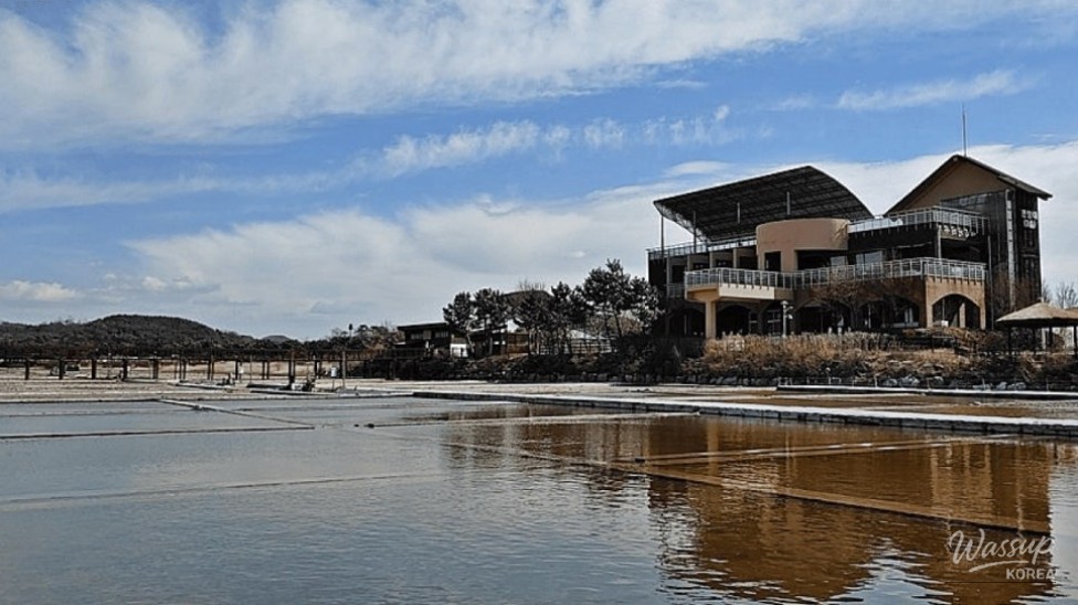 Explore the Incheon Sora Wetland Ecological Park: A Hidden Gem_05