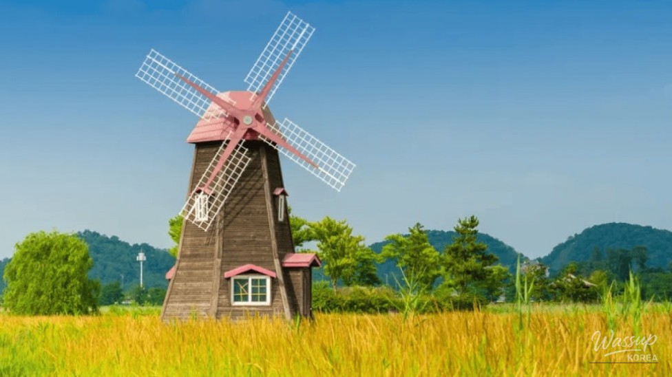 Explore the Incheon Sora Wetland Ecological Park: A Hidden Gem_03