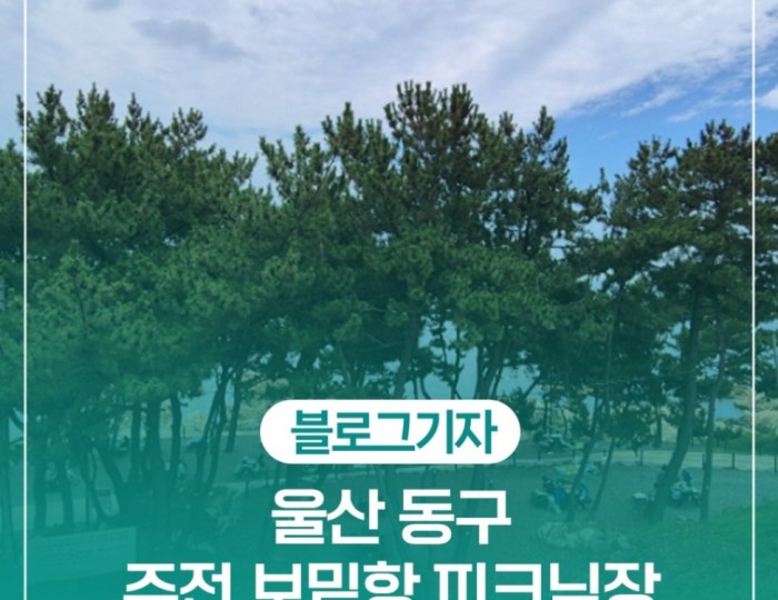 Enjoying a Free Picnic at Jujeon Bomit Port in Ulsan float
