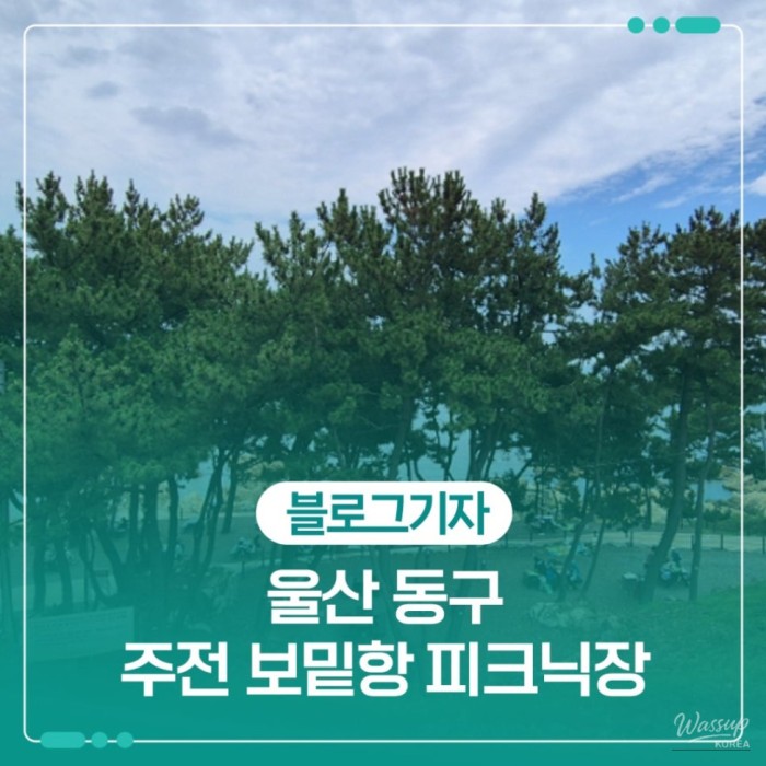Enjoying a Free Picnic at Jujeon Bomit Port in Ulsan2449
