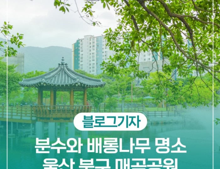Exploring Maegok Park in Ulsan float
