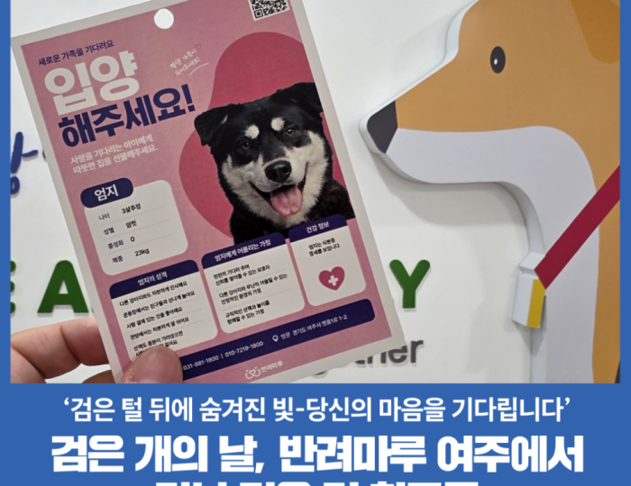 Adopting Black Dogs: A Hidden Gem float