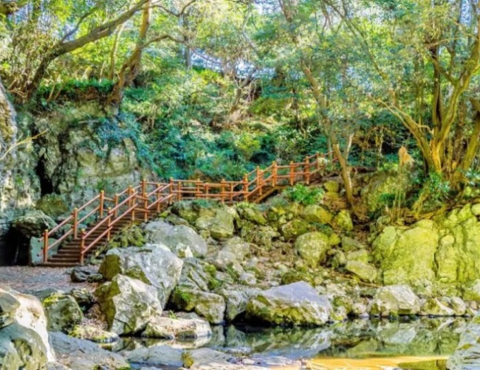 Discovering the Cool Oasis of Andeok Valley in Jeju float
