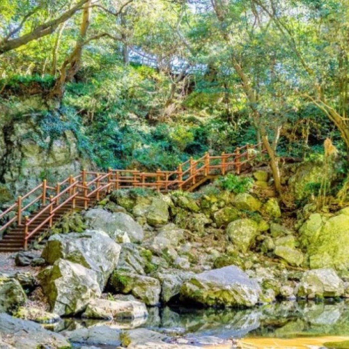 Discovering the Cool Oasis of Andeok Valley in Jeju5049