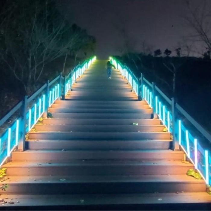 Exploring Jeju's Starry Night: A Family-Friendly Destination5056