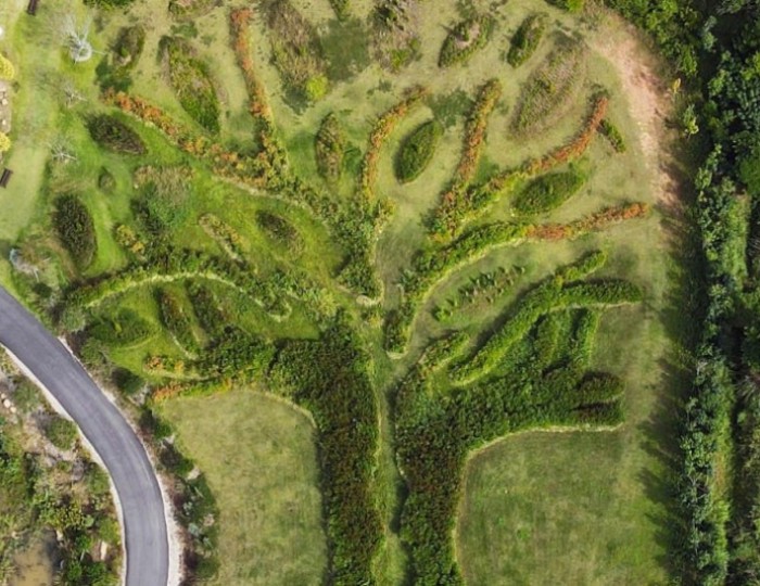 Explore the Serenity of San-i Garden in Haenam, South Korea float