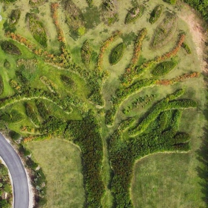 Explore the Serenity of San-i Garden in Haenam, South Korea5062