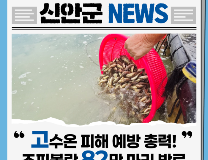 Shinan County Takes Action Against Rising Sea Temperatures float