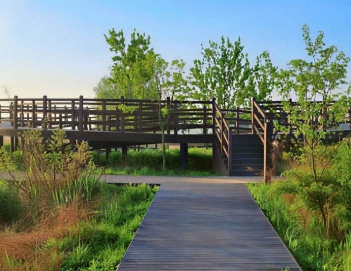 Explore the Incheon Sora Wetland Ecological Park: A Hidden Gem float