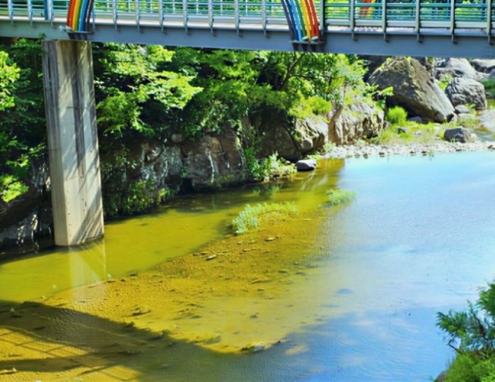 Discovering the Cool Oasis of Uiseong Binggye Valley float