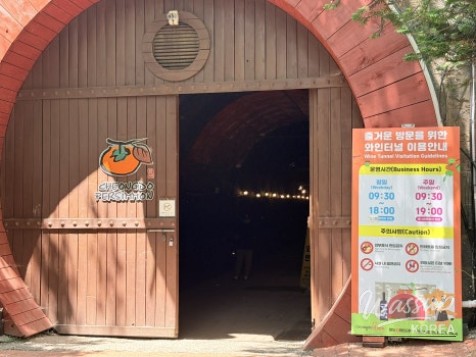 Discovering the Cool Escape: Cheongdo Wine Tunnel_02