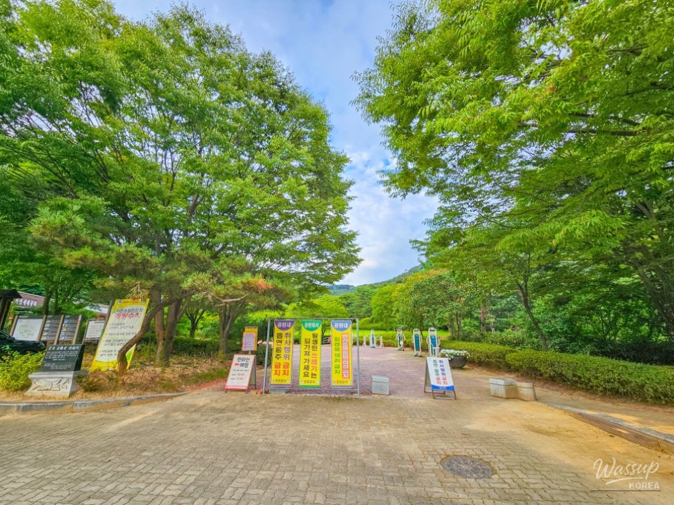Exploring Manroe Mountain Nature Ecological Park_03