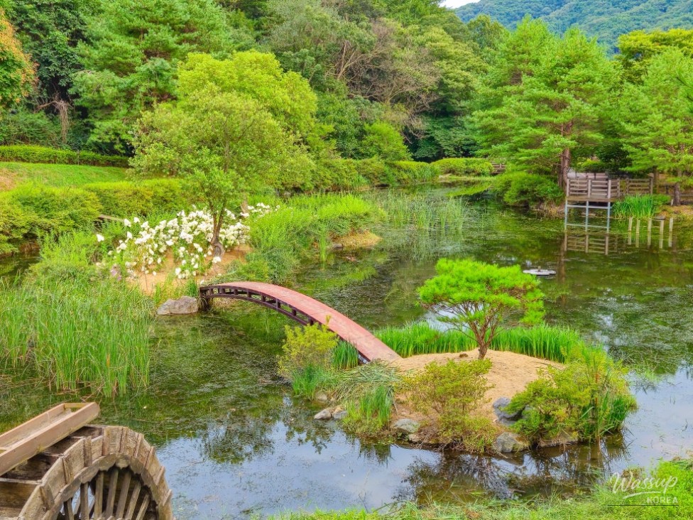 Exploring Manroe Mountain Nature Ecological Park_02