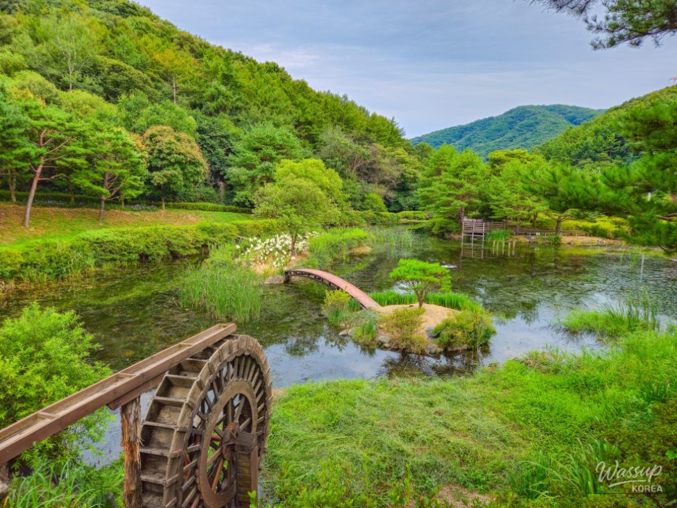 Exploring Manroe Mountain Nature Ecological Park_04