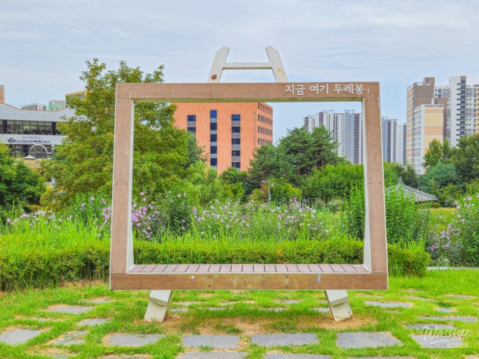Exploring Durebong Park: A Hidden Gem in Chungbuk Innovation City_02