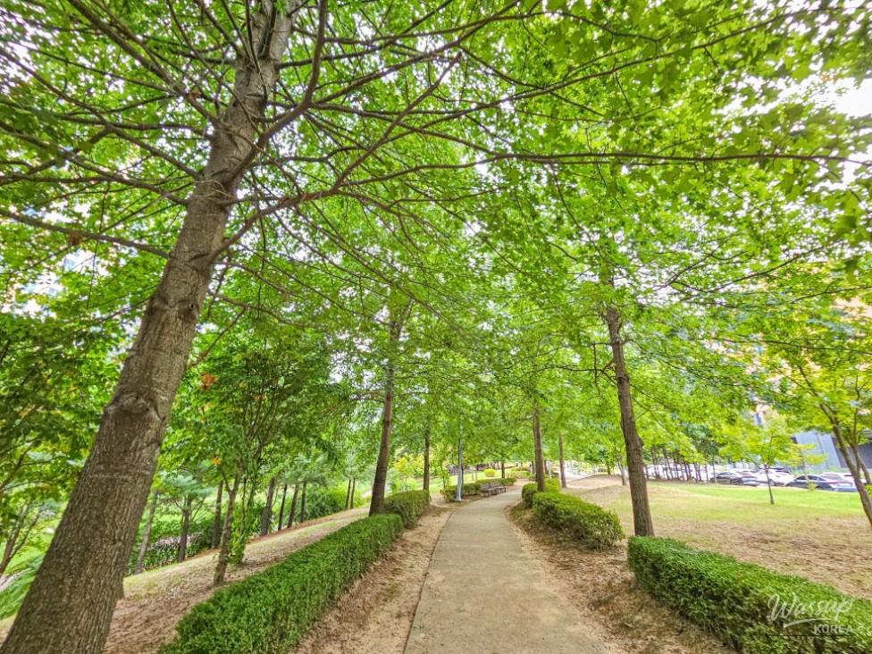 Exploring Durebong Park: A Hidden Gem in Chungbuk Innovation City_04