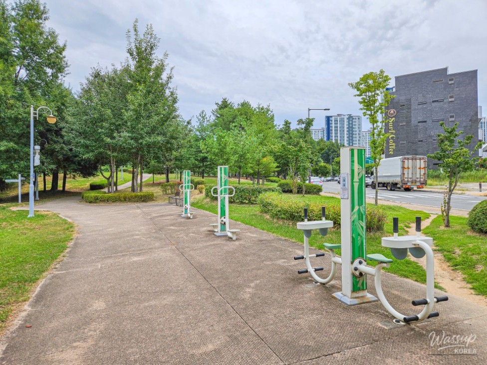 Exploring Durebong Park: A Hidden Gem in Chungbuk Innovation City_05