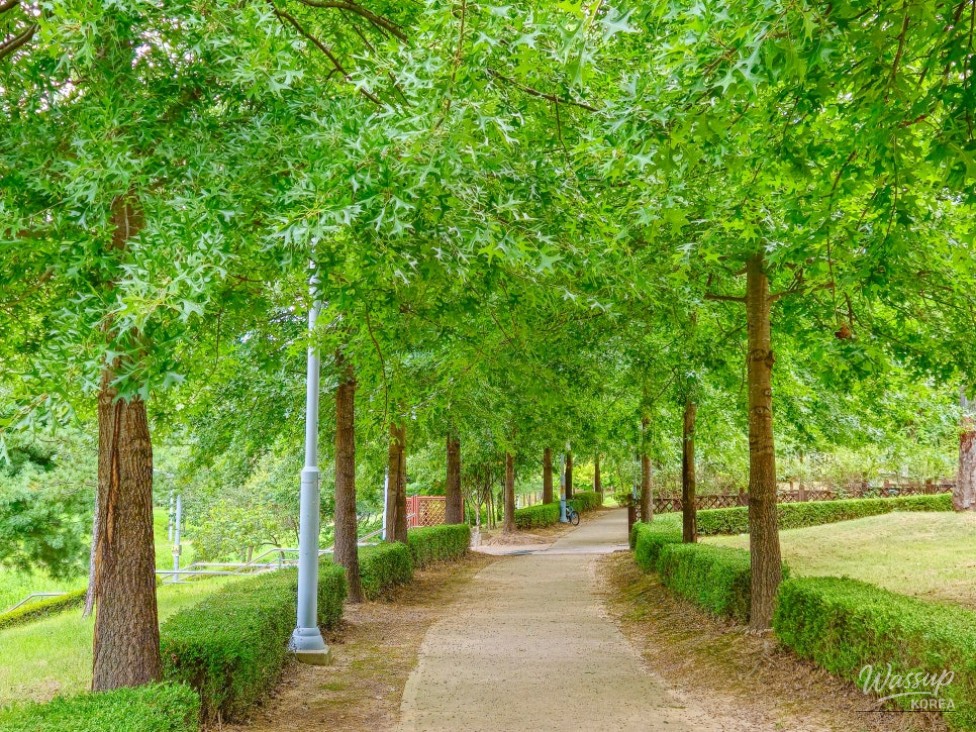 Exploring Durebong Park: A Hidden Gem in Chungbuk Innovation City_03