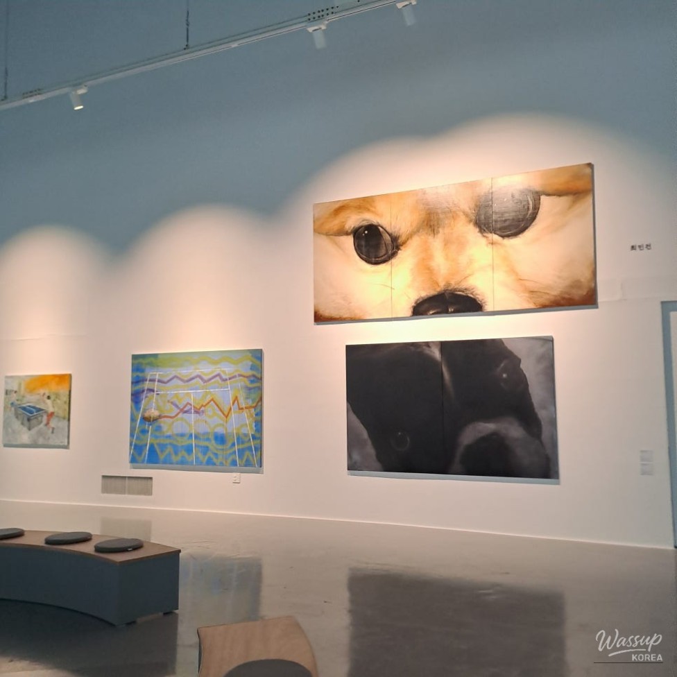 Exploring the Cheongju Art Museum: A 10-Year Celebration_19