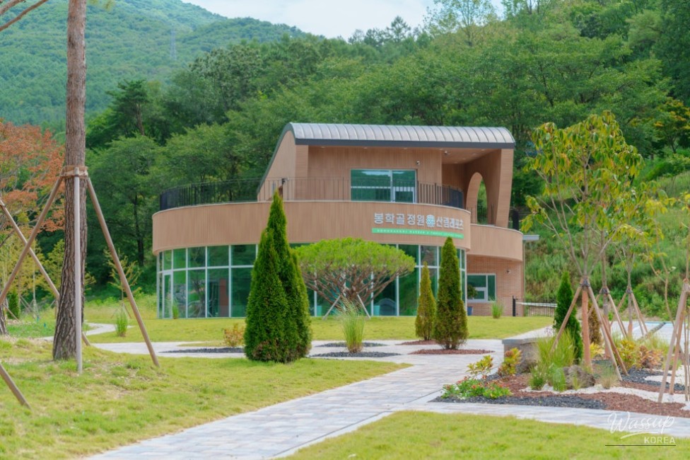 Exploring the Beautiful Bonghakgol Garden in Chungbuk_02