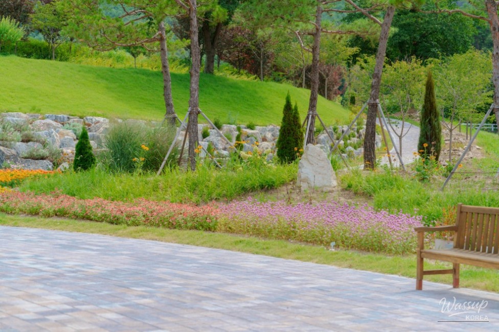 Exploring the Beautiful Bonghakgol Garden in Chungbuk_04