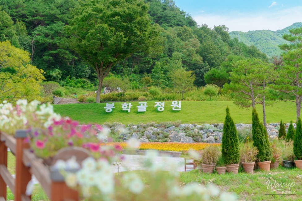 Exploring the Beautiful Bonghakgol Garden in Chungbuk_03