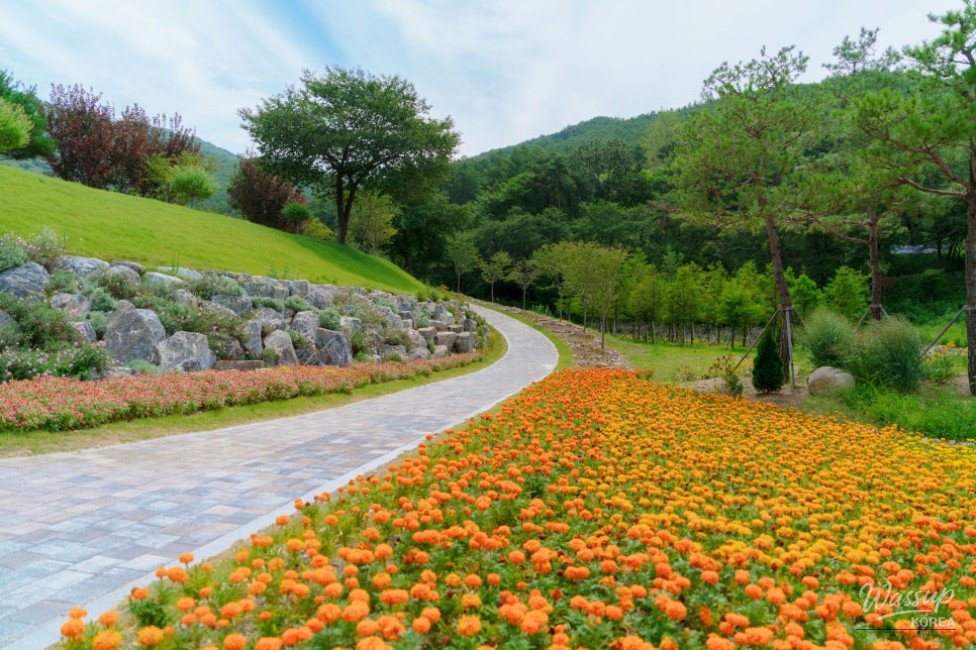 Exploring the Beautiful Bonghakgol Garden in Chungbuk_05
