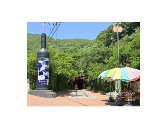 Discovering the Cool Escape: Cheongdo Wine Tunnel float