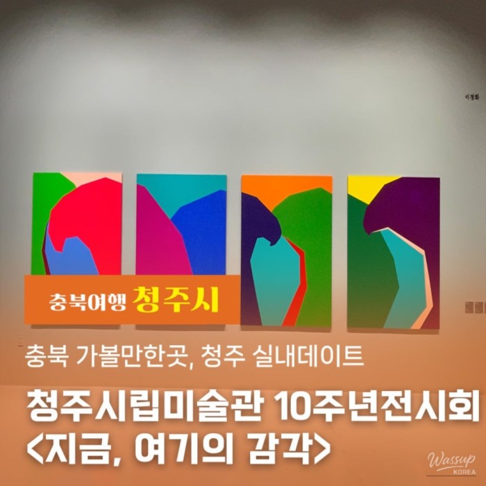 Exploring the Cheongju Art Museum: A 10-Year Celebration5072