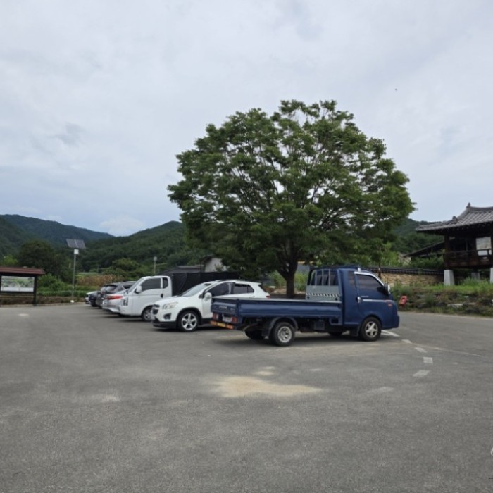 Exploring Hwangsan Traditional Hanok Village5075