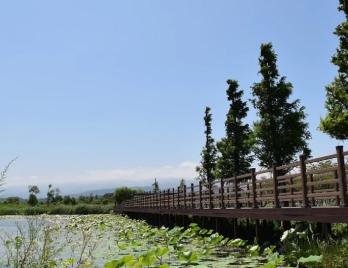 Discovering the Beauty of Gyeongpo Gasi Wetland float