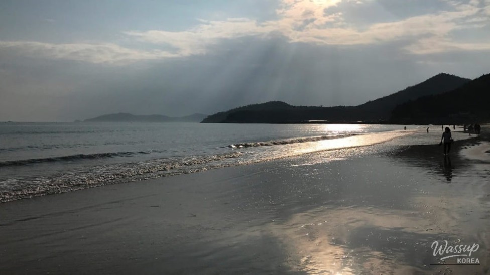 Discovering Wando's Myungsasimni Beach: A Perfect Summer Getaway_04
