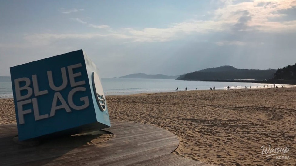 Discovering Wando's Myungsasimni Beach: A Perfect Summer Getaway_02