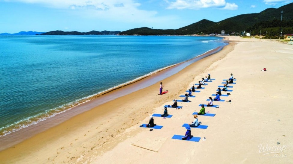 Discovering Wando's Myungsasimni Beach: A Perfect Summer Getaway_03